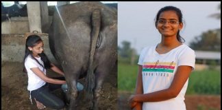 at the age of 11 shraddha took over the fathers business today there are more than 80 buffaloes a turnover of 6 lakhs every month - Trishul News Gujarati