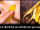 not only banana but also its peel is very beneficial for your skin - Trishul News Gujarati