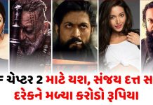 actor yash has taken a fee of so many crores for kgf - Trishul News Gujarati