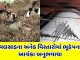 earthquake shakes valsad people are terrified - Trishul News Gujarati