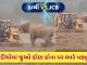 have you ever seen a clash between an elephant and a jcb see who has the power - Trishul News Gujarati