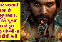mahesh babu to nora fatehi who turned down movie pushpa - Trishul News Gujarati