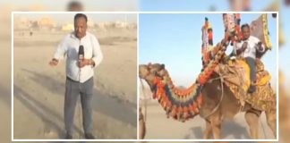 pakistani journalist chand nawab reports about karachi weather video gone viral pratp - Trishul News Gujarati