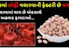peanuts are a factory for increasing blood in the body many benefits come together in winter - Trishul News Gujarati