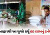 quit his job and started making animal feed a turnover of rs 60 lakh in his first year - Trishul News Gujarati