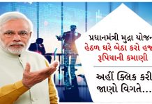 job tension over now earn 40 thousand rupees every month - Trishul News Gujarati
