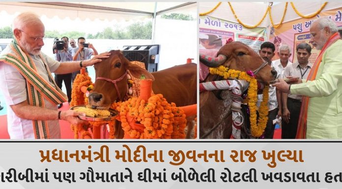 prime minister modis mother used to feed gaumata bread dipped in ghee even in poverty trishulnews - Trishul News Gujarati