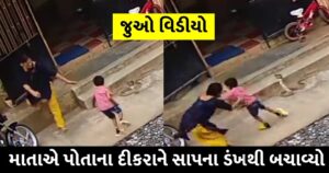 blink of an eye the mother saved sons life video viral trishulnews - Trishul News Gujarati Gujarat