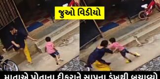 blink of an eye the mother saved sons life video viral trishulnews - Trishul News Gujarati