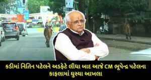 bulls rammed into the chief ministers convoy luckily avoiding an accident by not hitting conway - Trishul News Gujarati Kisan