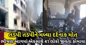 fire broke out in egypt s capital cairo coptic christian church trishulnews1 - Trishul News Gujarati પરિવર્તન