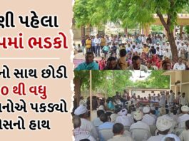 iddhpur bjp 500 karyakarta join congress - Trishul News Gujarati