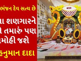 salangpur hanuman dada decoration with flowers and musical instruments see photos trishulnews - Trishul News Gujarati