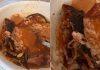 woman found rat in soup served at us restaurant trishulnews - Trishul News Gujarati